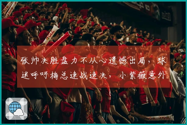 张帅决胜盘力不从心遗憾出局，球迷呼吁梅总速战速决，小紫薇意外夺冠